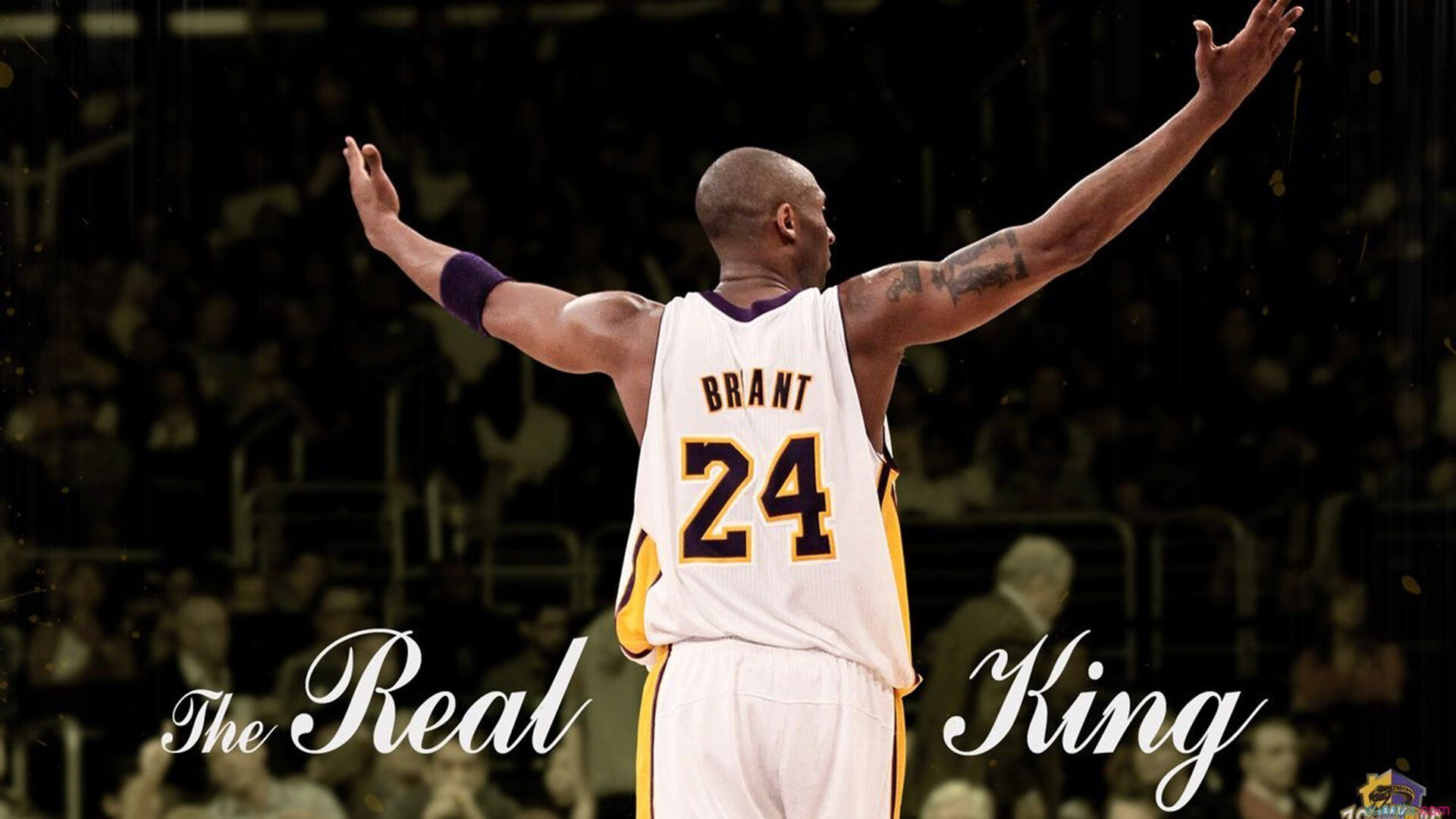 奇才球队进攻组织日趋流畅，奇才队球员